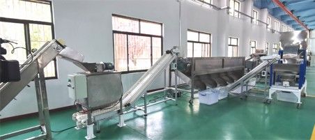 核桃去青皮清洗、提升機(jī)